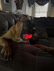 Chasemate Smart Interactive Ball