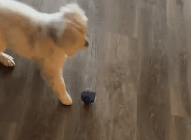 "Transform Boredom into Joyful Adventures!"